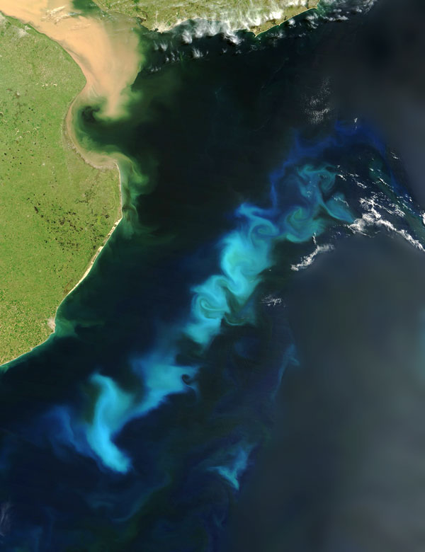 An oceanic phytoplankton bloom in the South Atlantic Ocean, off the coast of Argentina. 