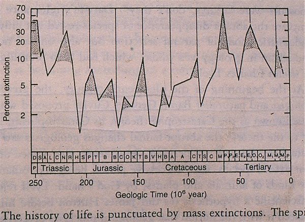 Figure 10. Extinction cycles during the past 250 million years, after Raup